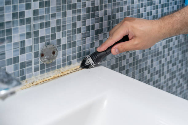 Best Bathroom Mold Remediation in Fredonia, AZ